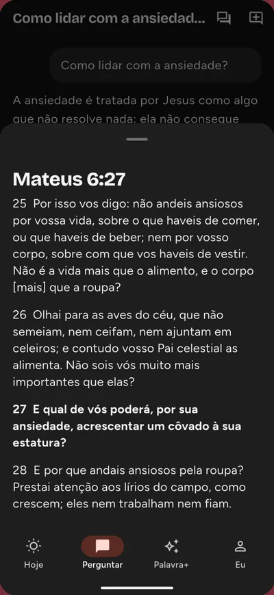 Resposta sobre ansiedade com o capítulo de Mateus 6 aberto